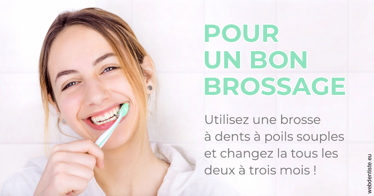 https://dr-asquinazi-ml.chirurgiens-dentistes.fr/Pour un bon brossage 2