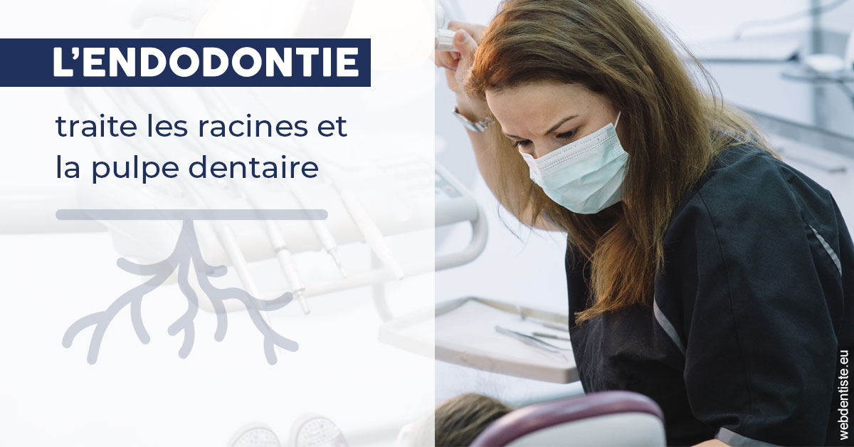 https://dr-asquinazi-ml.chirurgiens-dentistes.fr/L'endodontie 1