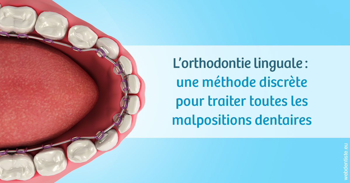https://dr-asquinazi-ml.chirurgiens-dentistes.fr/L'orthodontie linguale 1