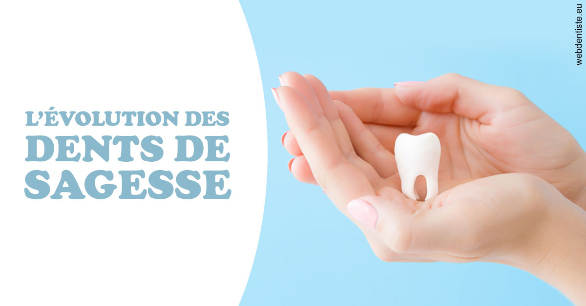 https://dr-asquinazi-ml.chirurgiens-dentistes.fr/Evolution dents de sagesse 1