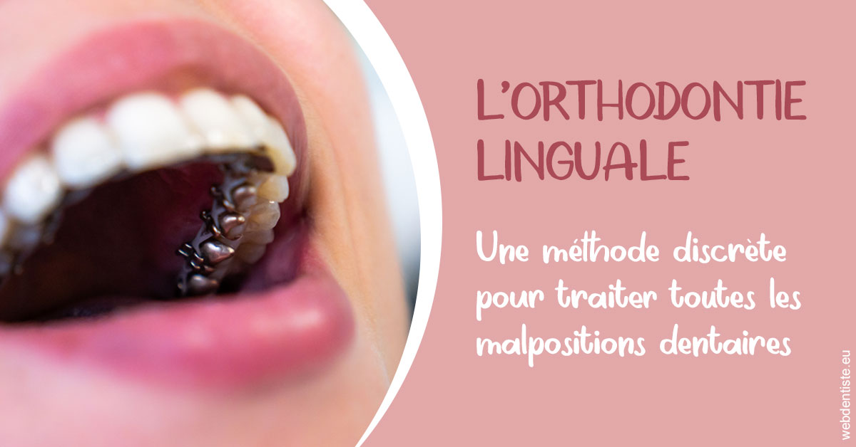 https://dr-asquinazi-ml.chirurgiens-dentistes.fr/L'orthodontie linguale 2
