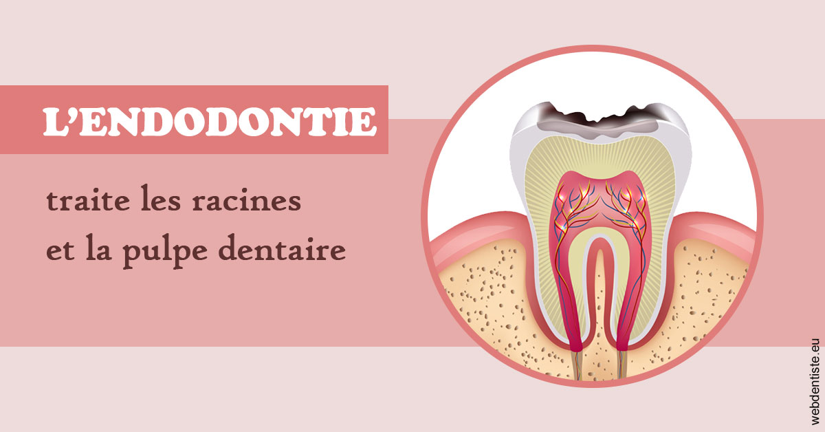 https://dr-asquinazi-ml.chirurgiens-dentistes.fr/L'endodontie 2