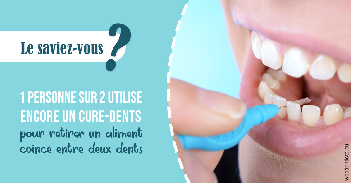 https://dr-asquinazi-ml.chirurgiens-dentistes.fr/Cure-dents 1