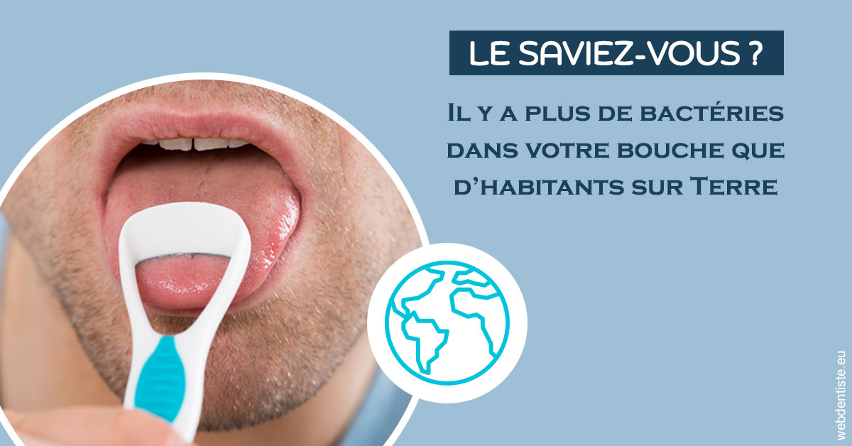 https://dr-asquinazi-ml.chirurgiens-dentistes.fr/Bactéries dans votre bouche 2