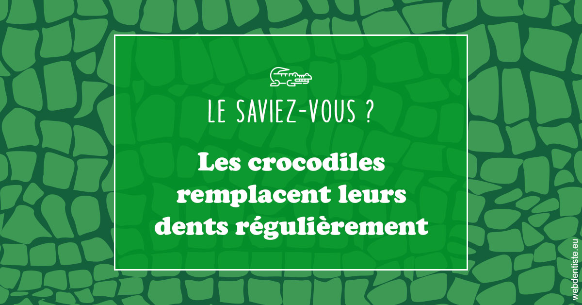 https://dr-asquinazi-ml.chirurgiens-dentistes.fr/Crocodiles 1